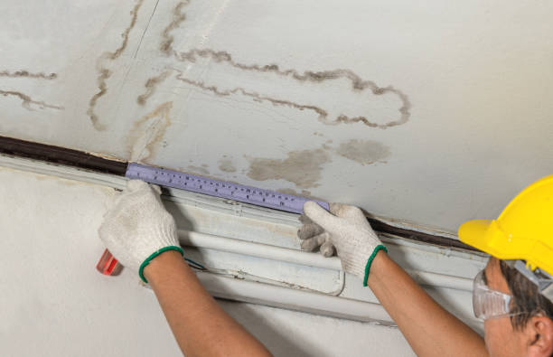 Reliable Mold Remediation contractor in North Arlington, NJ by Water Damage Irwin